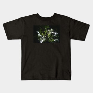 Kaleidoscope Diary Into The Woods Kids T-Shirt